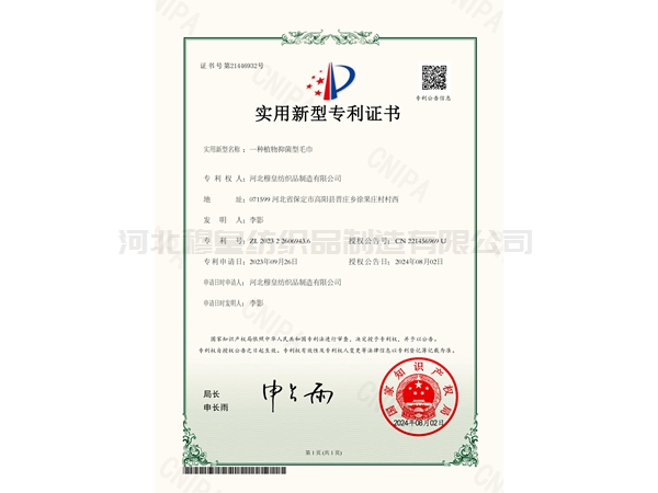 实用新型专利证书6